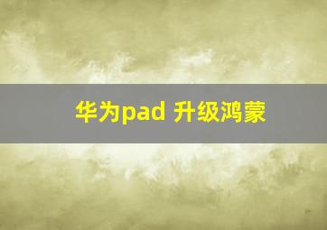 华为pad 升级鸿蒙